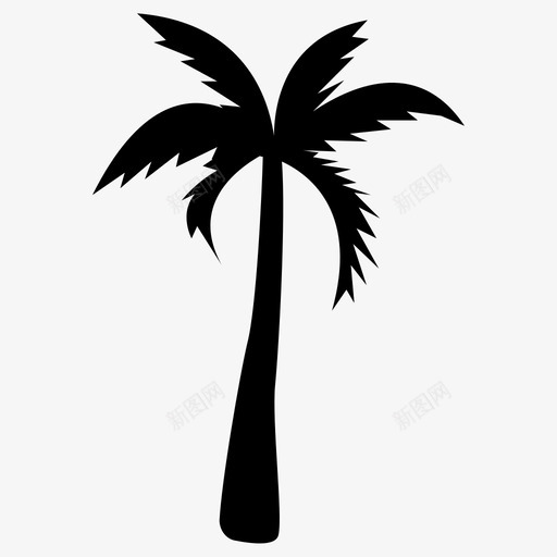 棕榈树椰子树椰子树实心图标svg_新图网 https://ixintu.com 棕榈树 椰子树 椰子树实心图标