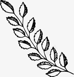 枣叶和花免抠png野菜枝花图标高清图片