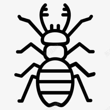 甲虫亲爱的粪甲虫昆虫图标图标