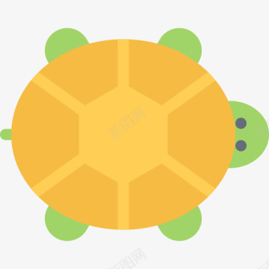 乌龟宠物5扁平图标图标