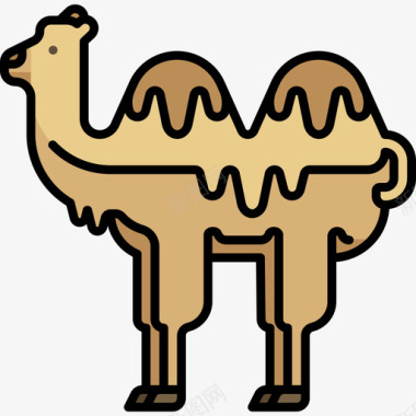骆驼动物20线形颜色图标图标