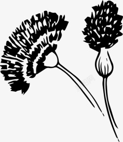 野菜图标野花树枝野菜图标高清图片