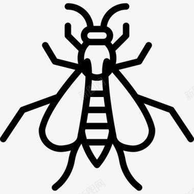 黄蜂昆虫2线状图标图标