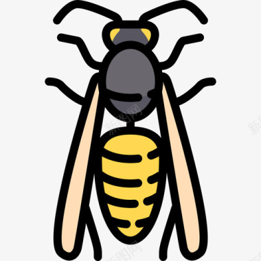 黄蜂动物25线形颜色图标图标