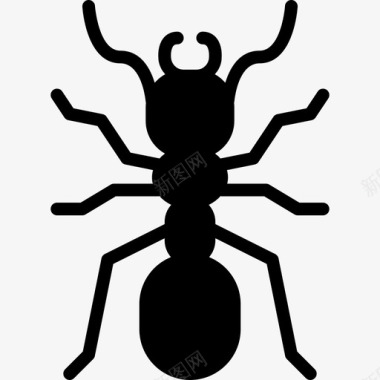 蚂蚁虫子3填充图标图标