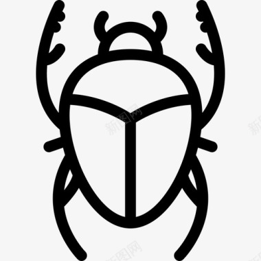 甲虫培养2直系图标图标