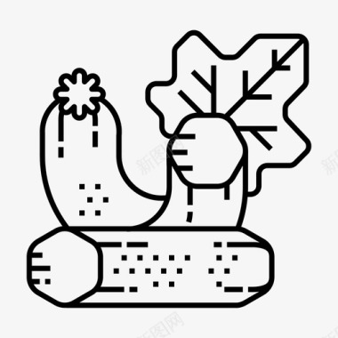 小胡瓜食物蔬菜图标图标