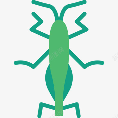 蚱蜢虫子扁虱图标图标