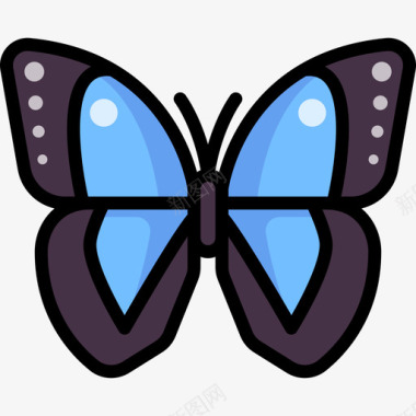 蝴蝶蝴蝶3线状颜色图标图标