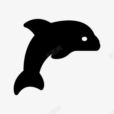 海豚海洋大海图标图标
