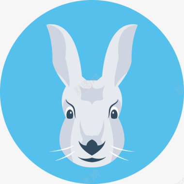 兔子动物33圆形图标图标