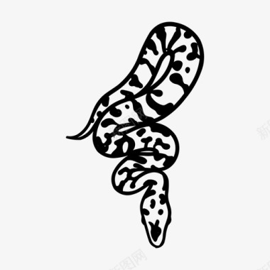 蛇动物毒蛇图标图标