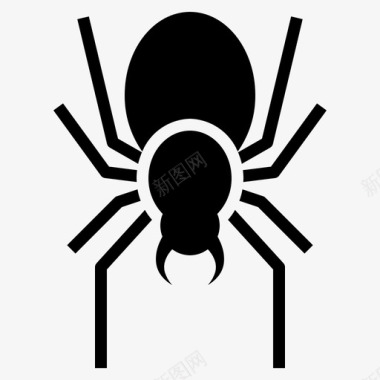 蜘蛛虫子危险图标图标