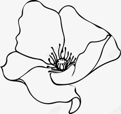 罂粟花花朵自然图标图标