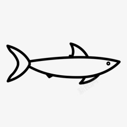 鲸鲨鲨鱼鲨鱼身体虎鲨图标高清图片