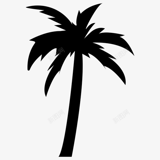 棕榈树椰子树椰子树实心图标svg_新图网 https://ixintu.com 棕榈树 椰子树 椰子树实心图标