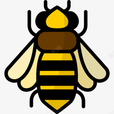 蜜蜂自然8线性颜色图标图标