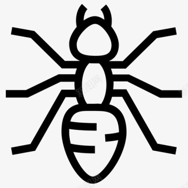 蚂蚁蚂蚁昆虫虫子图标图标