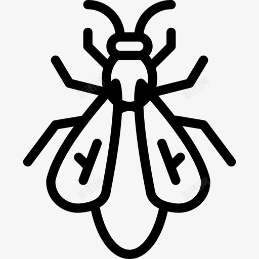苍蝇虫虫2线状图标svg_新图网 https://ixintu.com 线状 苍蝇 虫虫2