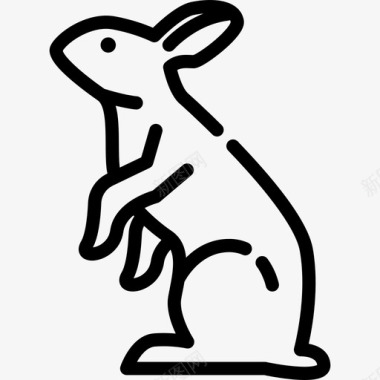兔子动物园3直系图标图标