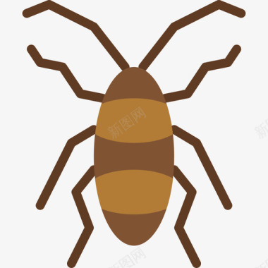 蟑螂臭虫扁虱图标图标