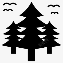 冷杉林森林冷杉树丛林图标高清图片