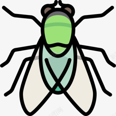 苍蝇动物25线状颜色图标图标