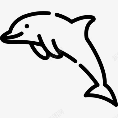 海豚动物园3直线型图标图标