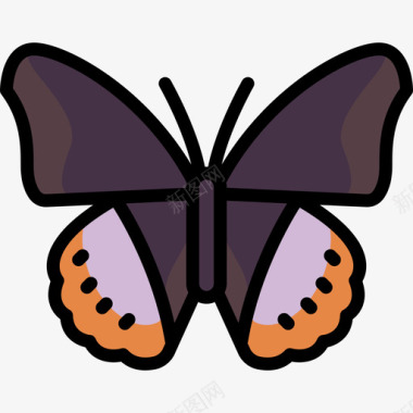 彩色蝴蝶3图标图标