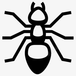 蚁后蚂蚁蚂蚁昆虫虫子图标高清图片