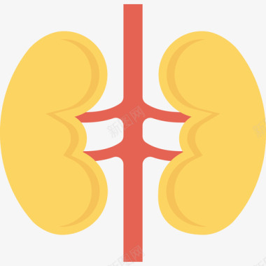 肾脏医疗保健2平坦图标图标