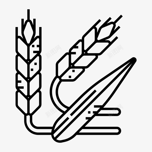 小麦食物蔬菜图标svg_新图网 https://ixintu.com 小麦 蔬菜 食物