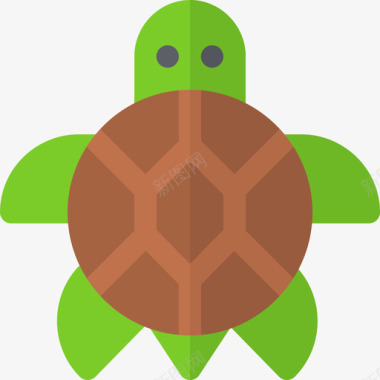 海龟夏威夷2号平坦图标图标