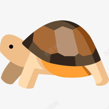 乌龟在动物园2公寓图标图标