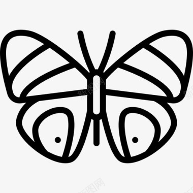 蝴蝶蝴蝶2线状图标图标
