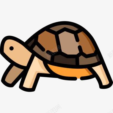 海龟在动物园里线颜色图标图标