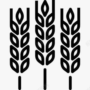 小麦作物面筋图标图标
