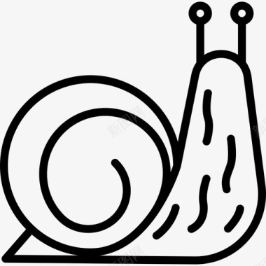 蜗牛自然6直系图标图标