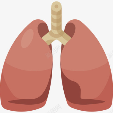 肺部12号医院平坦图标图标