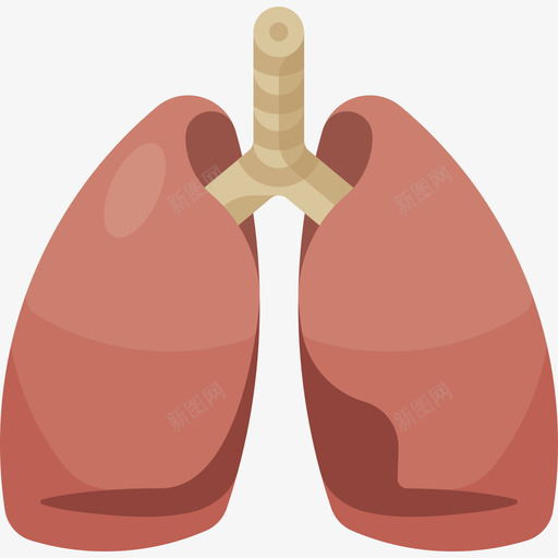 肺部12号医院平坦图标svg_新图网 https://ixintu.com 12号医院 健康 平坦 肺部