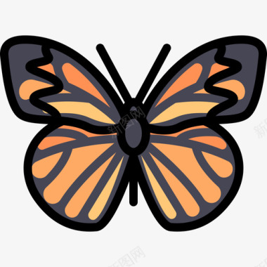 蝴蝶动物25线形颜色图标图标