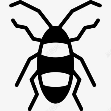蟑螂虫子昆虫3图标图标