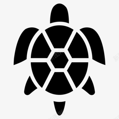 海龟濒危物种海洋动物图标图标