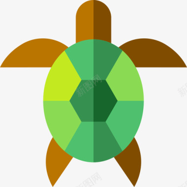 海龟夏威夷5平坦图标图标