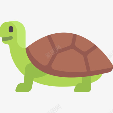 海龟动物和自然扁平图标图标