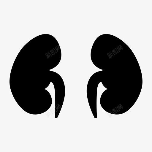 肾svg_新图网 https://ixintu.com 肾