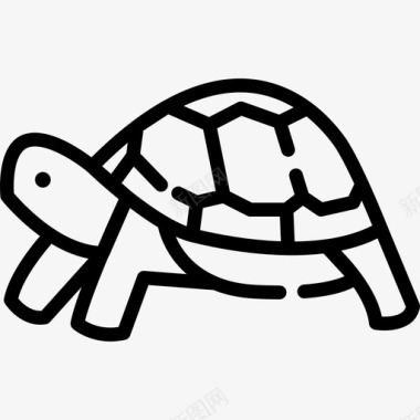 海龟动物园3直系图标图标