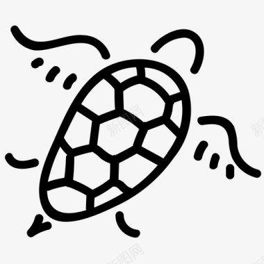 乌龟手绘线条图标图标