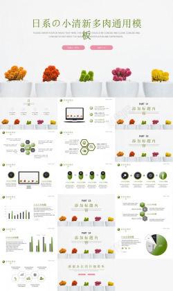 绿色小清新背景图日系小清新多肉工作汇报
