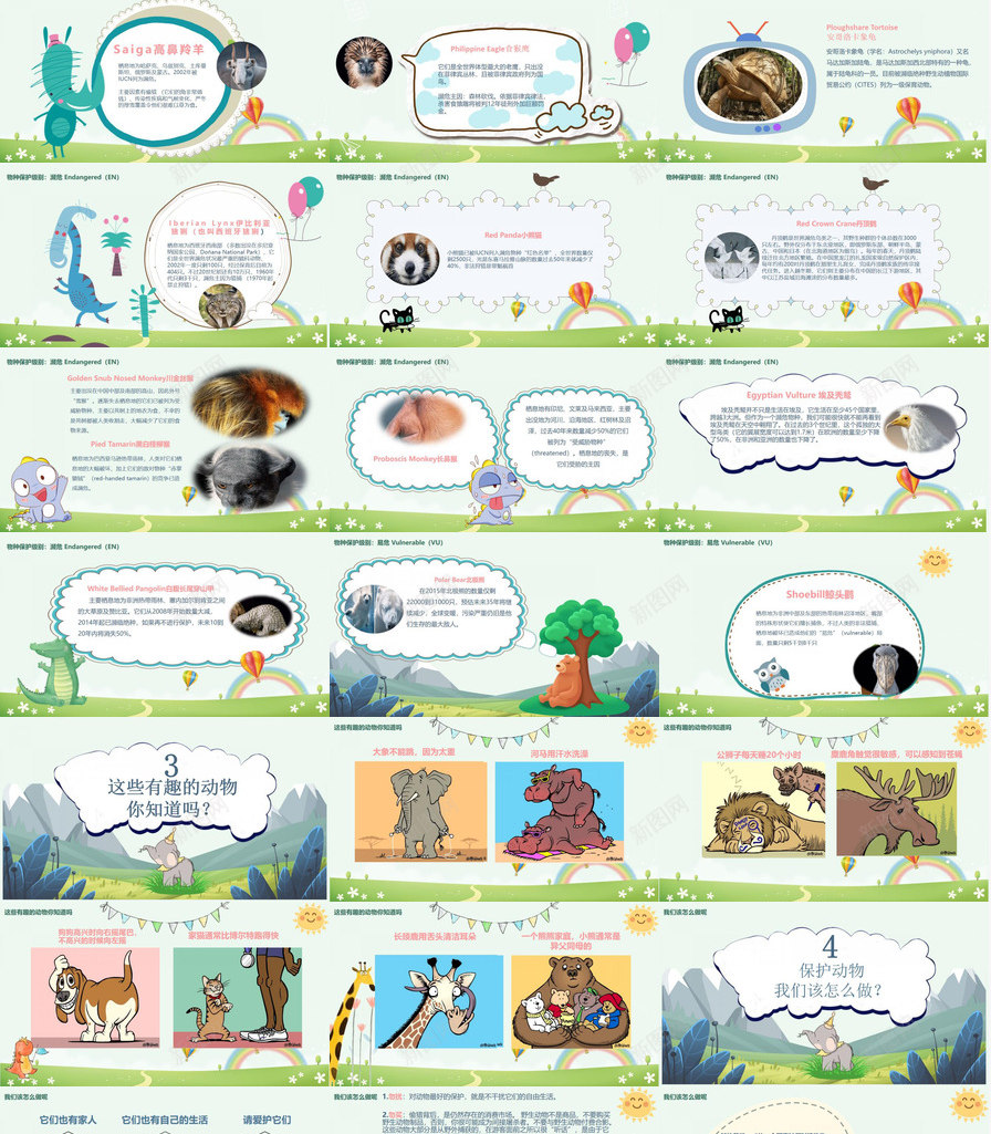 卡通世界动物日介绍PPT模板_新图网 https://ixintu.com 世界 介绍 动物 卡通